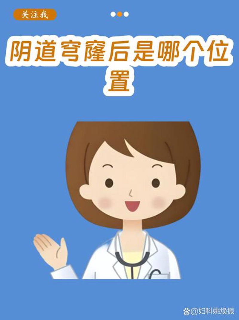 内科疾病防治选购指南：科学应对常见病症