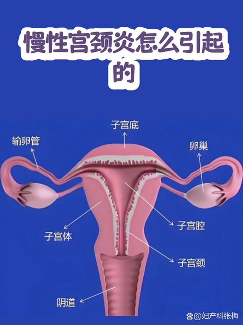 长沙医院：医疗技术与服务创新的时代篇章